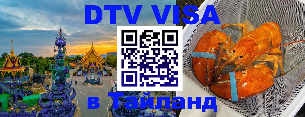 Оформление DTV визы под ключ: стоимость и тарифы, только загранпаспорт - 19.11.2025 